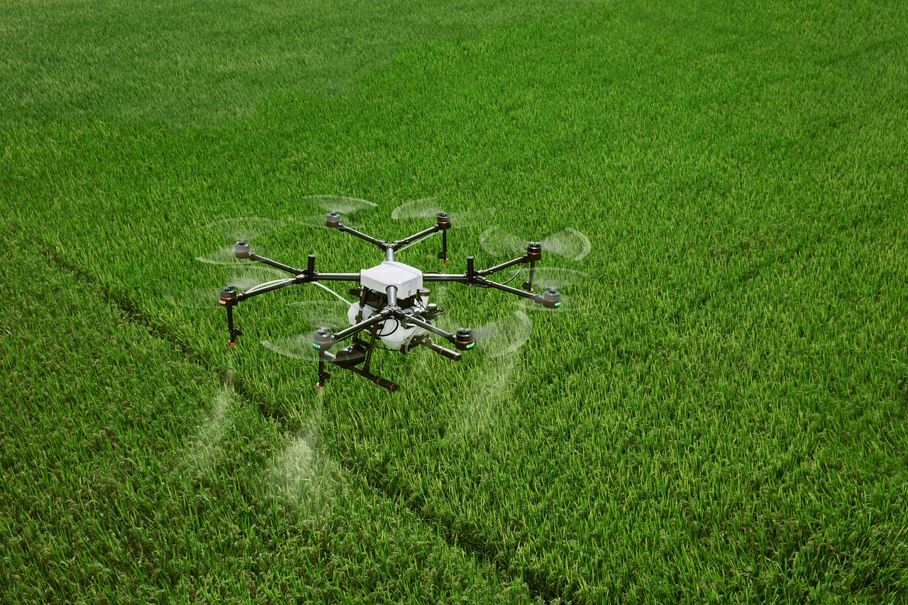 Inteligența artificială în agricultură: exemple actuale